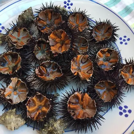 Semesterbostad Casa Arte *